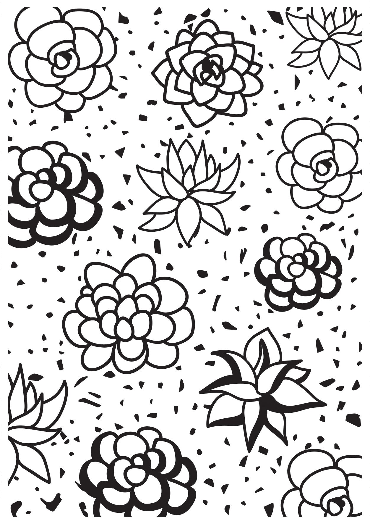 Kaisercraft Embossing Folder 4"X6" - Succulents