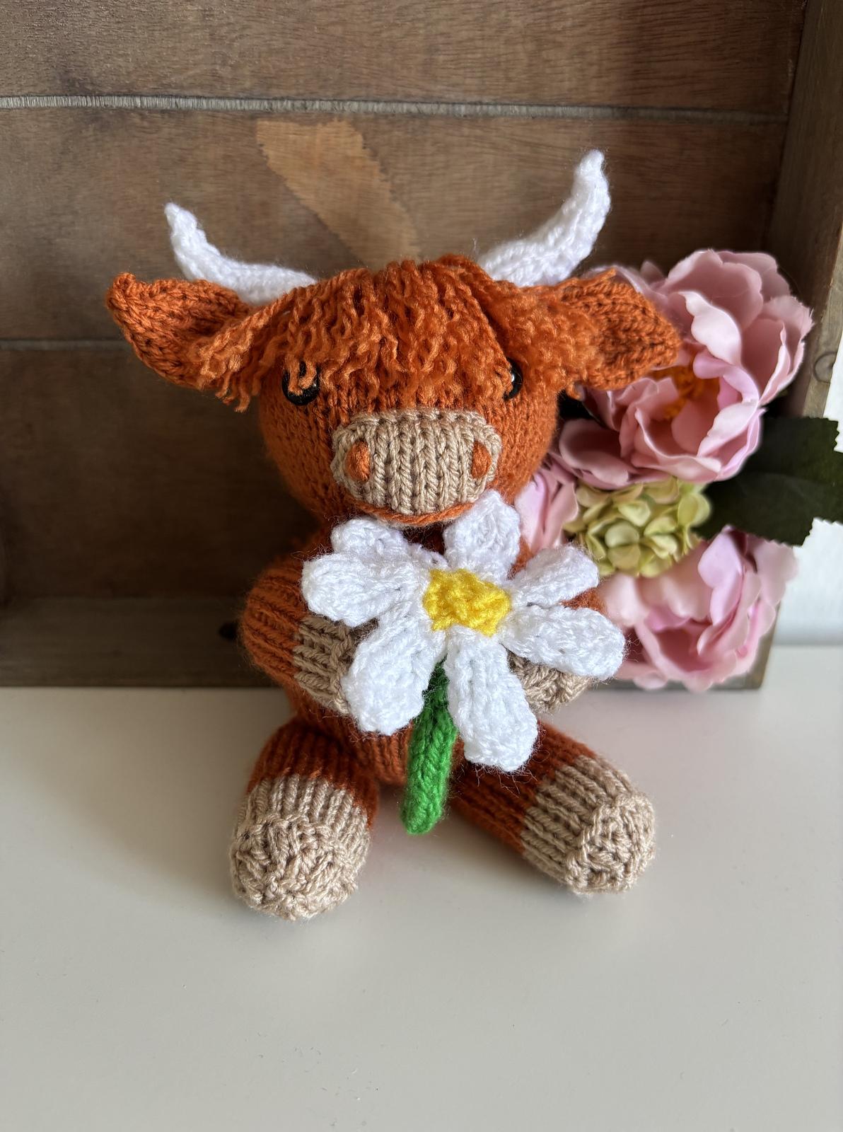 Daisy Highland Cow