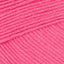 Fuchsia (69023)