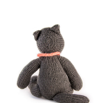 Sushi the Cat for Battersea