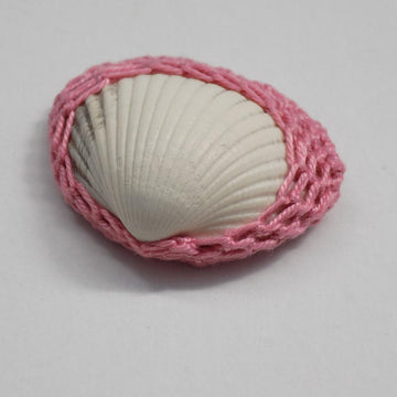 Framed shell