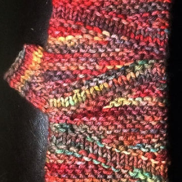 Salmon River Fingerless Gloves