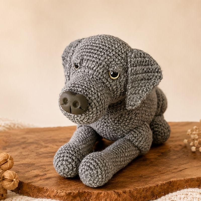 Labrador liegend