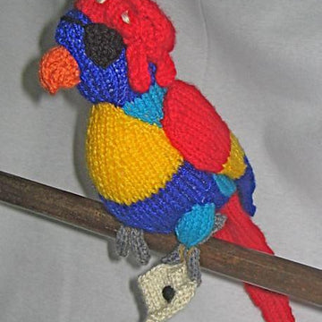 Toy Parrot – with pirate accessories