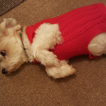 Sophie's Collared Mock Cable Jacket