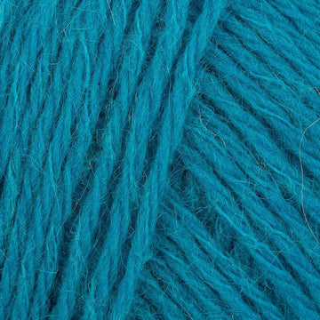 Arctic (921)