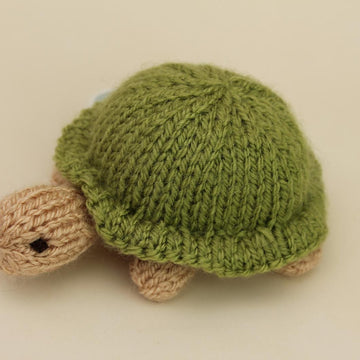 Hare and tortoise