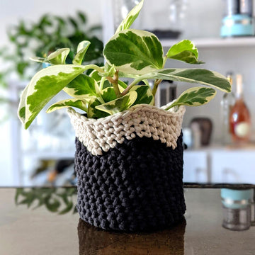 Two Tone Wavy Pot Cover