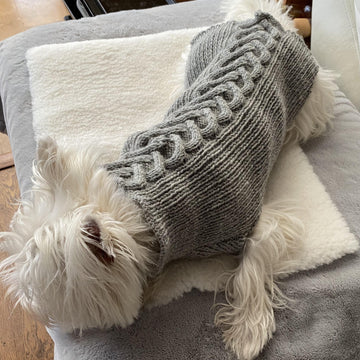Dog Jumper - Haggis