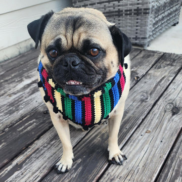 Cinco de Mayo Pet Bandana