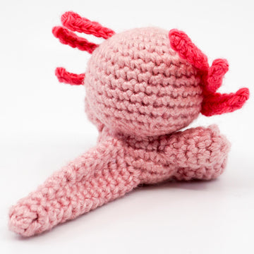 Mini Axolotl Crochet Pattern