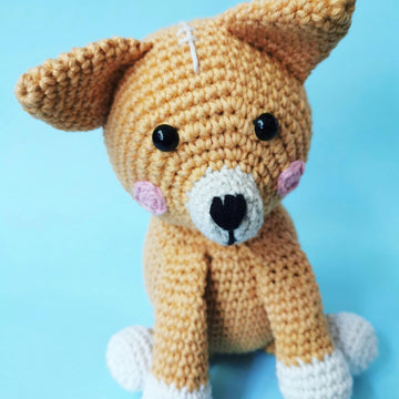 Ginger the Dingo