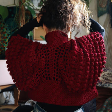 Schmetterling Bolero