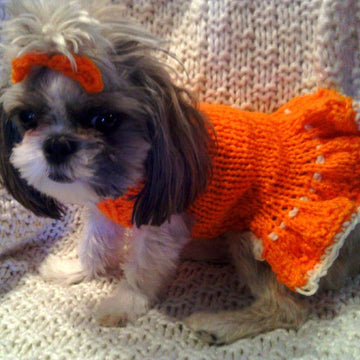Sofie's Tiny Dog Knit "Party Dress"