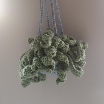 Hanging spiritual plant