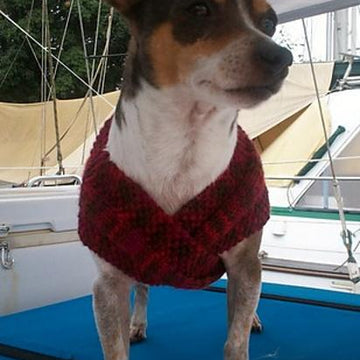 The Admiral's Dog Sweater
