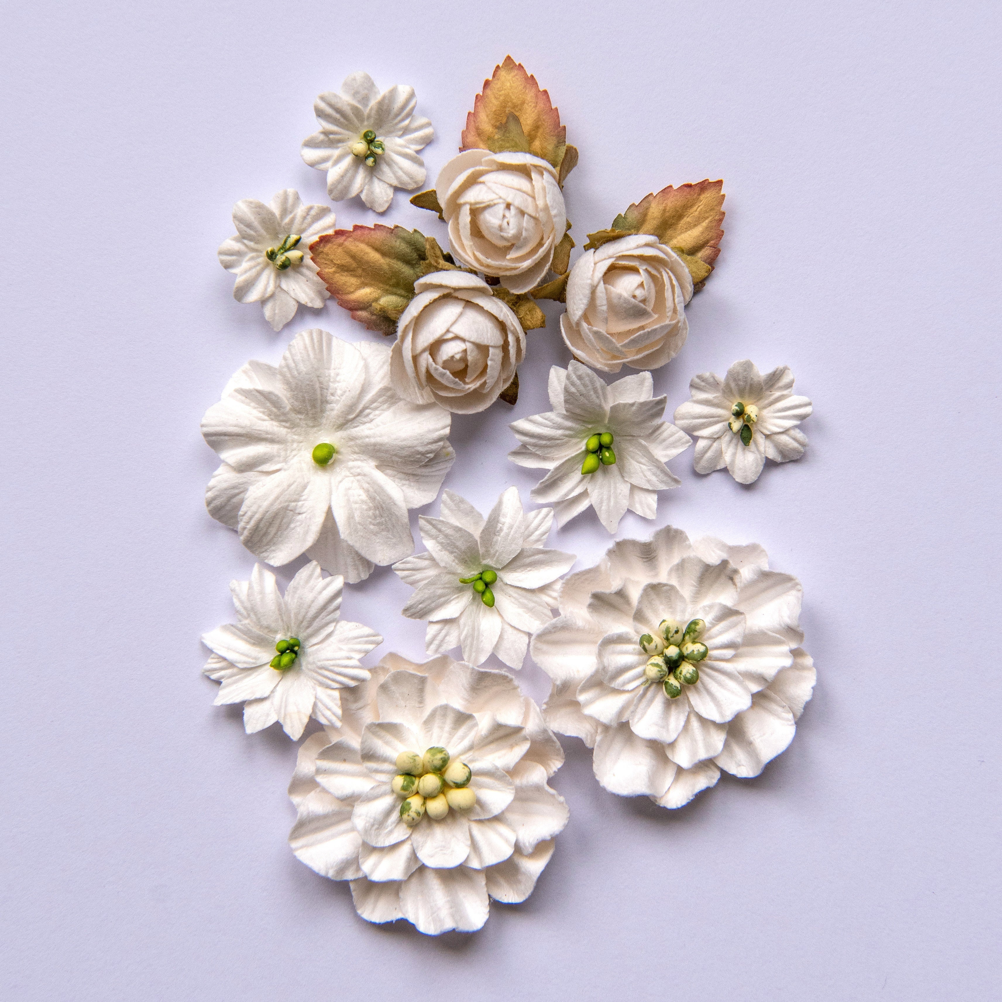 49 And Market Country Blooms 12/Pkg - Cloud