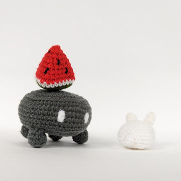 Rabbit & Watermelon for Sky Crab