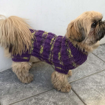 Dog Sweater TOPY FOUR LEGS