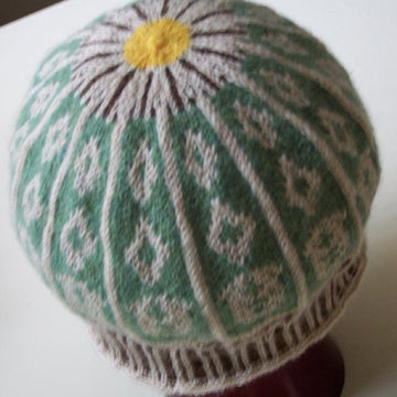 Capitol Dome Hat