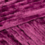 Burgundy Plum (32004)