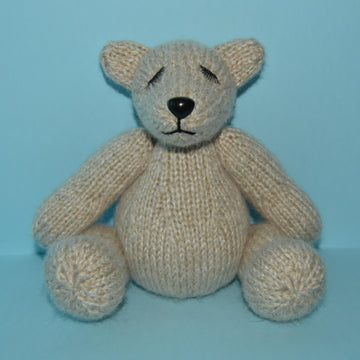Sleepy Sid The Teddy Bear