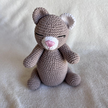 Stitches the Bear