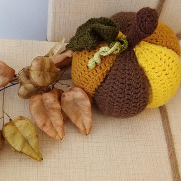 Pumpkins Colorful