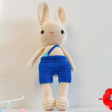 Bunny Boy