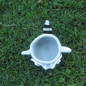 Raccoon Bowl / Container
