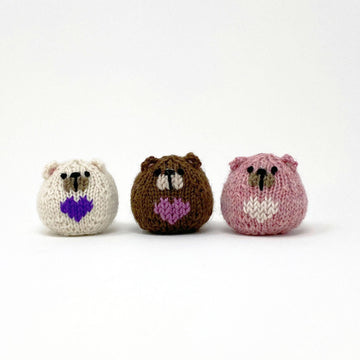 Pocket Pets