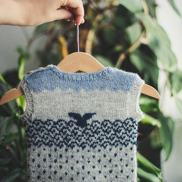 Max Whale Sweater (sleeveless)