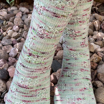 Rosette Windows Socks