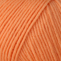 Apricot (00123)