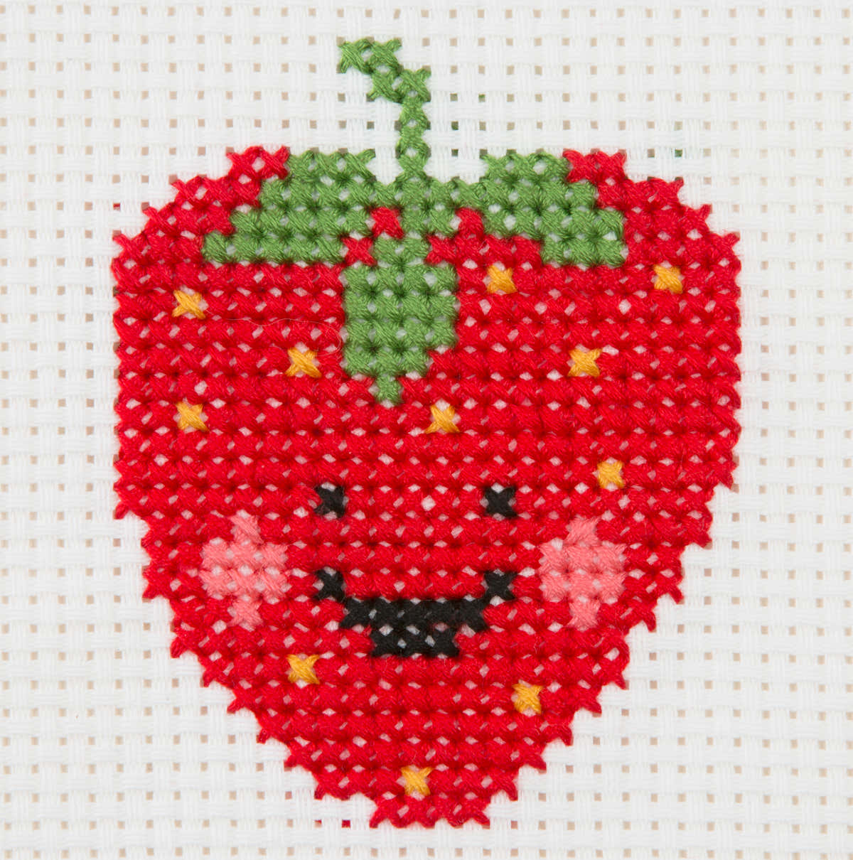 Anchor First: Strawberry Cross Stitch Kit