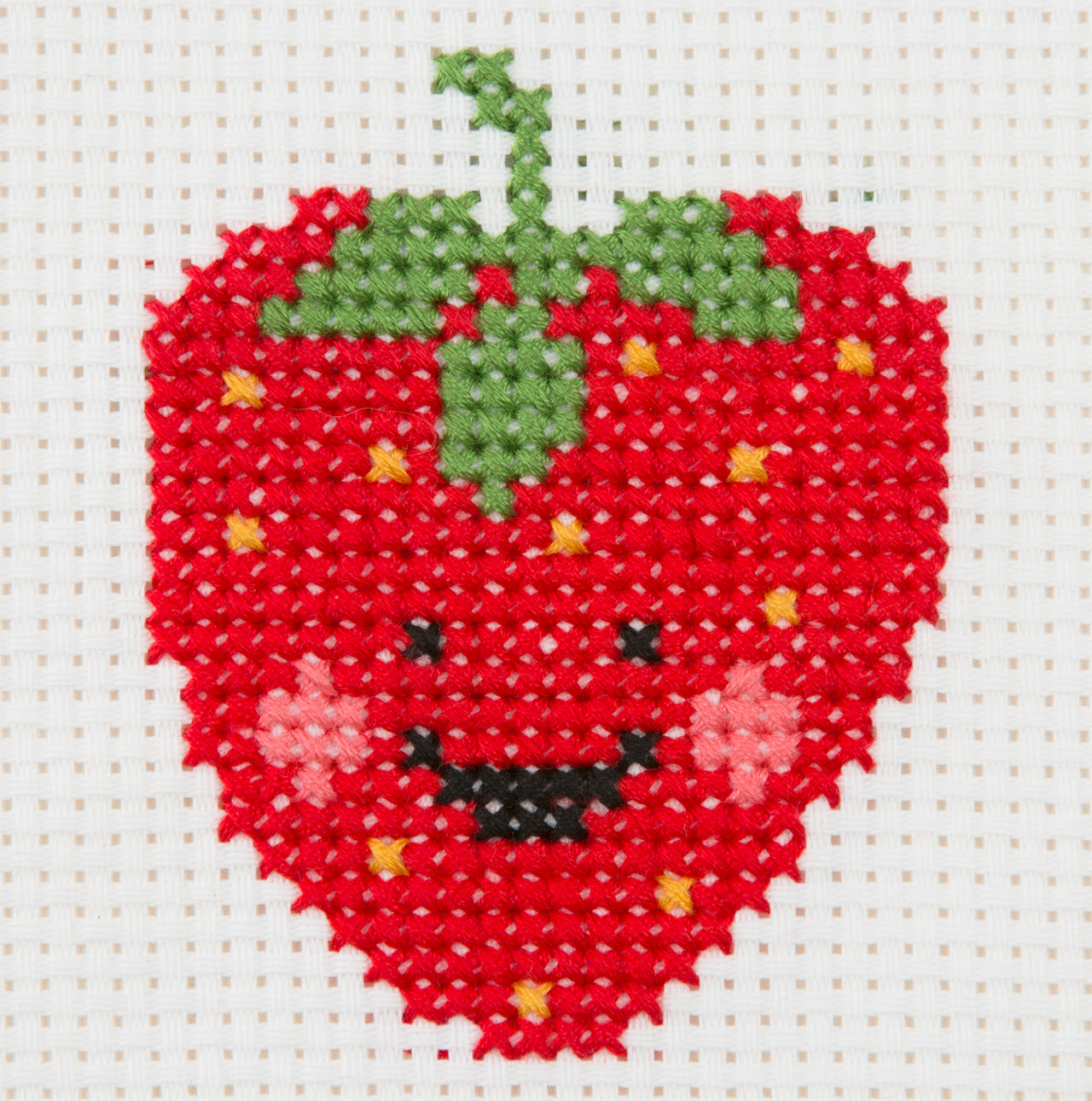 Anchor First: Strawberry Cross Stitch Kit
