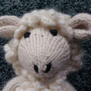 Sheep or lamb