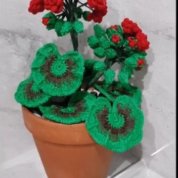 Crochet Geranium Flowers