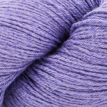 Aster Purple (23)