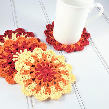 Sunshine Coasters