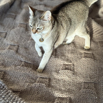 Easy Circle Illusion Knitted Blanket