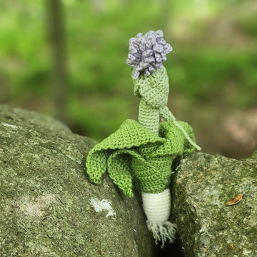 Leek with flower pod