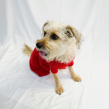 P07 Sweetheart Dog Dress
