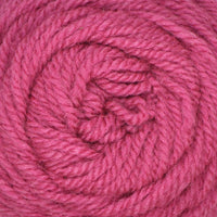 Fuchsia (049)