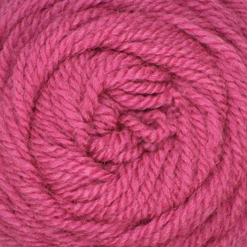 Fuchsia (049)