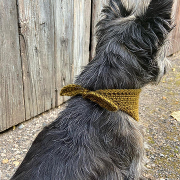 Boo Bandana