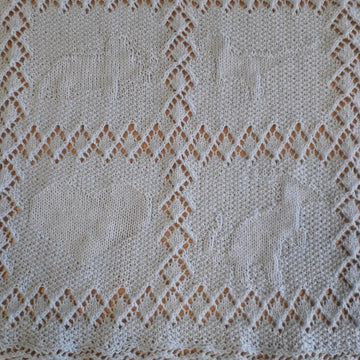 Dinosaur baby shawl