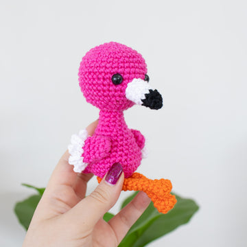 Baby Flamingo