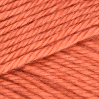 Persimmon (70-04)