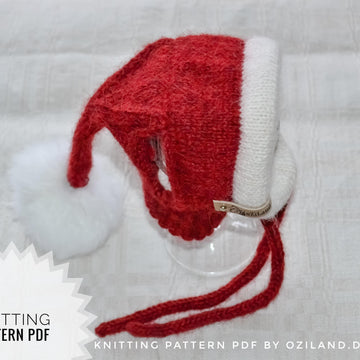 Santa dog hat